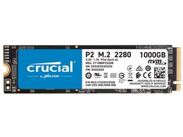 P2 CT1000P2SSD8JP