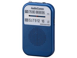 AudioComm RAD-P132N-A [u[]