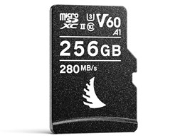 AVP256MSDV60 [256GB]