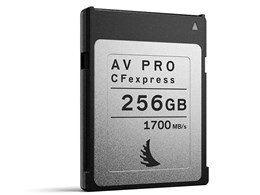 AVP256CFX [256GB]