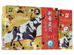 PHYZ 2021�N ���x�{�[��