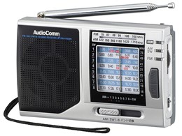 AudioComm RAD-H320N