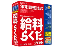 炭v21