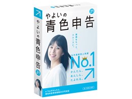 悢̐F\ 21 ʏ <dq\(e-Tax)Ή>