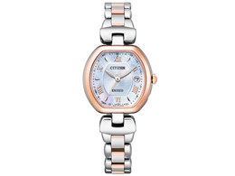 GNV[h GREhCudgv eB^jA C nbs[tCg ES9455-53A