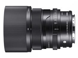 65mm F2 DG DN [CJLp]