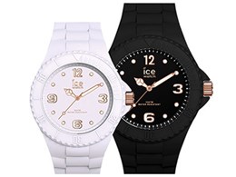 ICE Memory 2020 018685