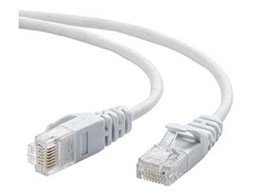 500-LAN6SL01W [1m �z���C�g]