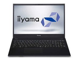 STYLE-15FH050-i5-UCXVI Core i5 10210U/8GB/500GB SSD+1TB HDD/15C` tHD