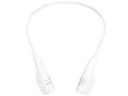 lbNGAN[ C-NAP20W