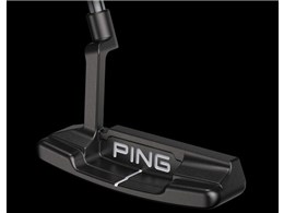 2021 ANSER 2 PP60�O���b�v �p�^�[ �����@�\�t�����f��