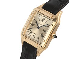 TgX f  ohD[Y WGSA0027