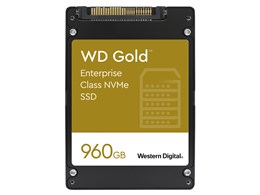 WD Gold WDS960G1D0D