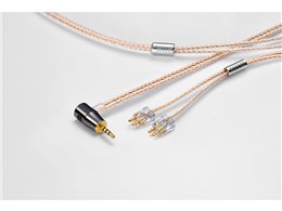 Clear force Ultimate CL FitEar 2.5��L 2.5mm(4��)��2�s�� [1.2m]