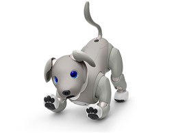アイボ シルバー ERS-1000 aibo（ERS-1000）の2021年限定カラー、「aibo 黒ごま