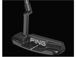 2021 ANSER PP60�O���b�v �p�^�[ [34�C���`]