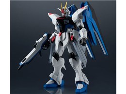 GUNDAM UNIVERSE ZGMF-X10A FREEDOM GUNDAM