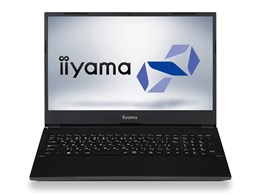 STYLE-15FH041-i5-UHEX Core i5 10400/16GB/500GB SSD/15C` tHD