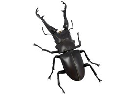 REVOGEO {WI Mt@mRMNK^