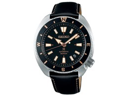 vXybNX Tortoise Land Edition SRPG17K1 [COf]