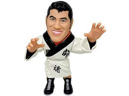 WFh}X^[Y 16d \trRNV017 AgjI