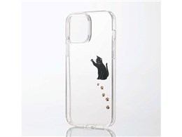 PM-A21DTSGCAT [���l�R]