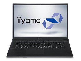 STYLE-17FH045-C-UCFS Celeron 4205U/8GB/480GB SSD/17C` tHD