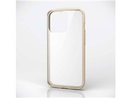 PM-A21CTSLFCGIV [�A�C�{���[]