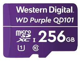 WDD256G1P0C [256GB]
