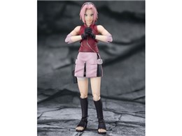 S.H.Figuarts tTN -t̕C-