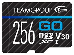 TGUSDX256GU303 [256GB]
