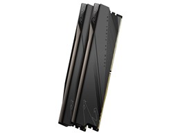 AORUS GP-ARS32G52D5 [DDR5 PC5-41600 16GB 2g]