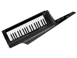 RK-100S 2 BK [gX[ZgEubN]