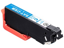 PLE-ESAT-C [Gv\p SAT-C VA]