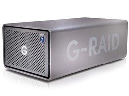 G-RAID 2 SDPH62H-040T-SBAAD