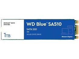 WD Blue SA510 SATA WDS100T3B0B