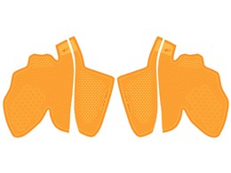 DSP PS5 Rg[[Obv DSPPS581 [IW]