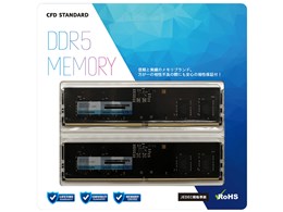 W5U4800CS-8G [DDR5 PC5-38400 8GB 2g]