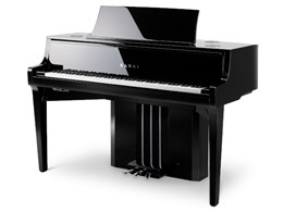 NOVUS NV10S