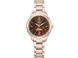 XC daichiコレクション エコ・ドライブ電波時計 ティタニア ハッピーフライト フローレットダイヤ 限定モデル EE1006-60W