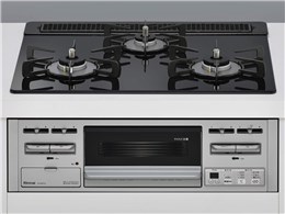 RS31M5T1RVW LP