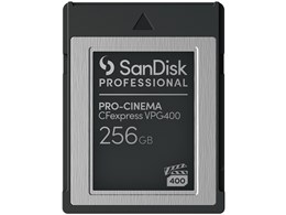 SDPCVN4-256G-JNANN [256GB]