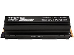 T-FORCE CARDEA A440 PRO TM8FPR004T0C128