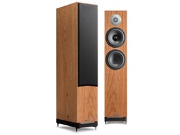 D-LINE D7.2 [�`�F���[ �y�A]