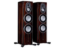 Platinum 300 3G PL300-3G PE [Piano Ebony yA]