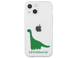 AK23505i14 [PeBITEX]