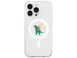 AK23524i14P []