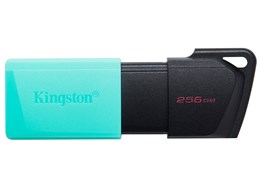 DataTraveler Exodia M DTXM/256GB [256GB]