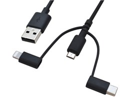 R10CAAMLC2A01BK [ubN]