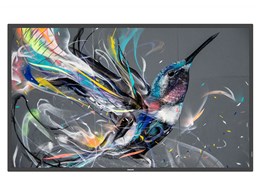 50BDL3550Q/11 [49.5C`]